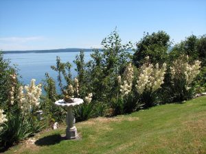 Saltair Real Estate is an excellent Vancouver Island choice